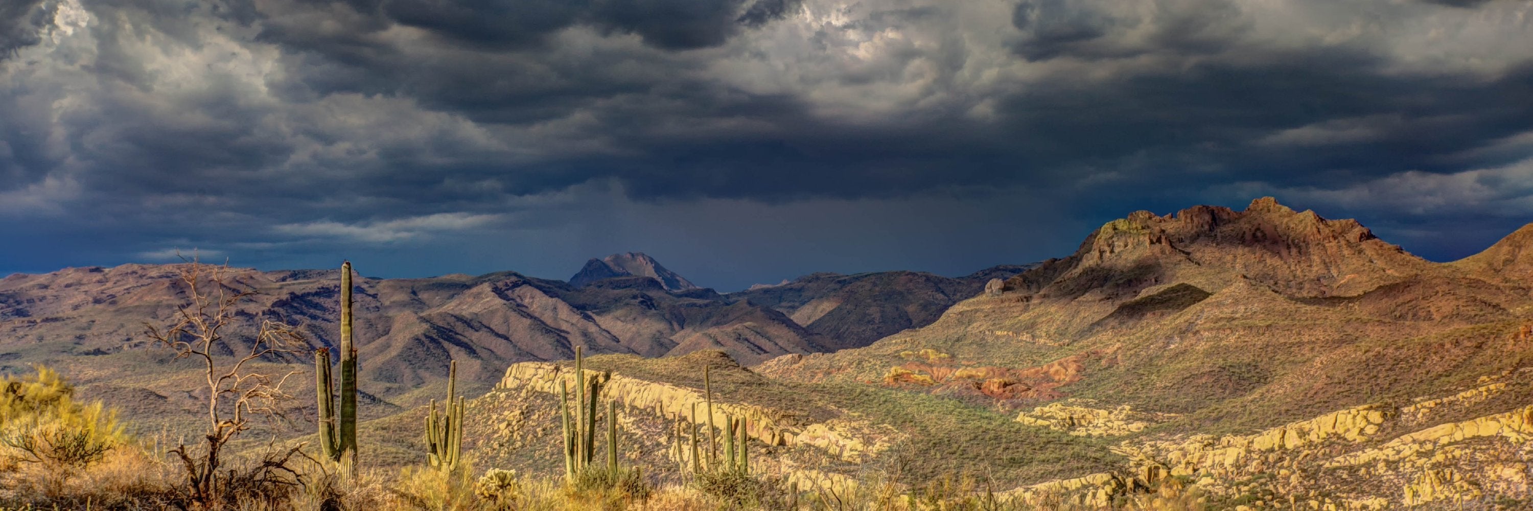 Photo of the cloudy Arizona desert taken by Robert Murray, 2016. Smells like creosote, marine accord, rosemary, amber, dark buchu, and oakmoss.